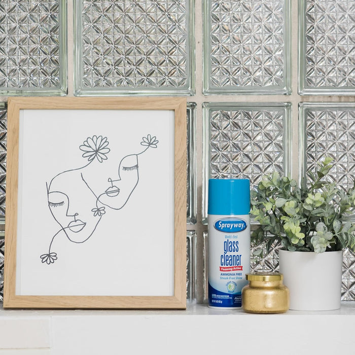 Sprayway Glass Cleaner